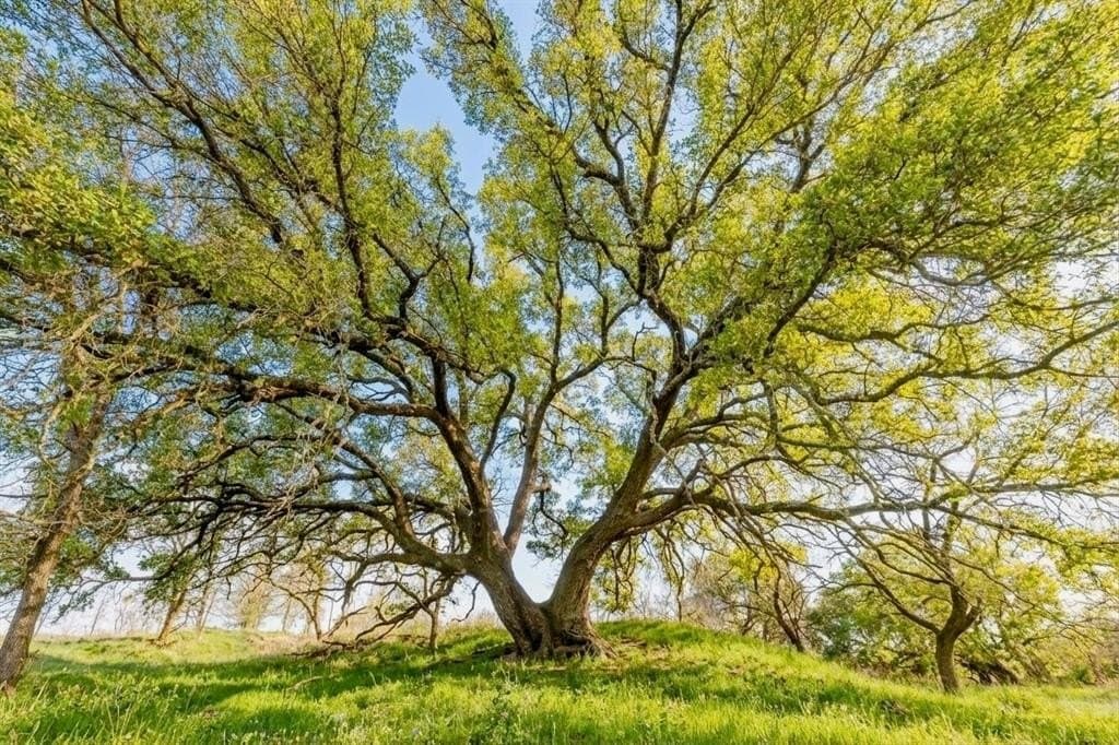 100.7 acres in Brown County - photo 8