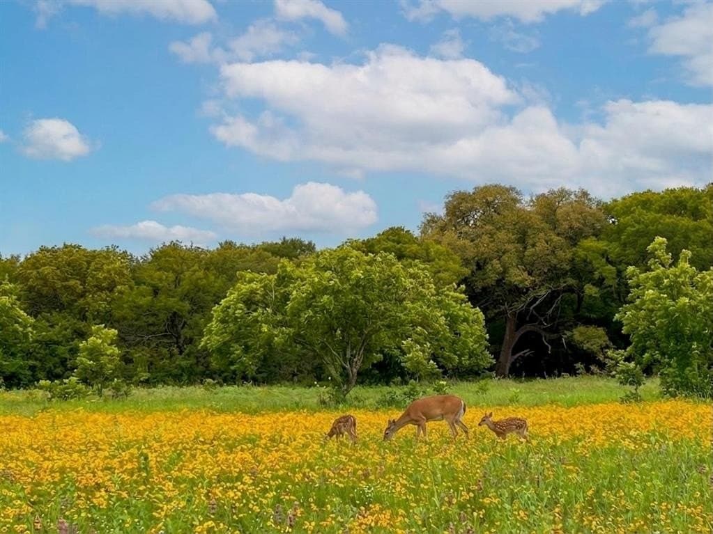 100.7 acres in Brown County - photo 7