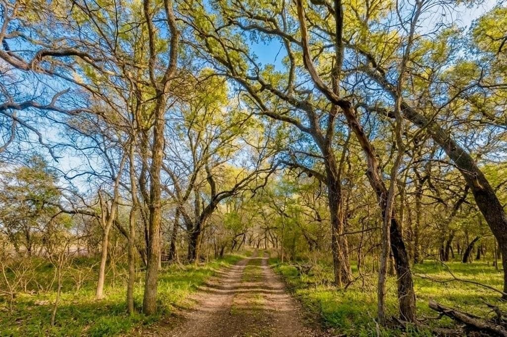 100.7 acres in Brown County - photo 5