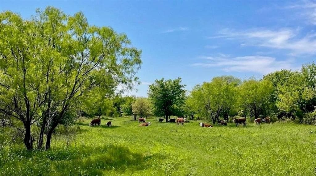 100.7 acres in Brown County - photo 35