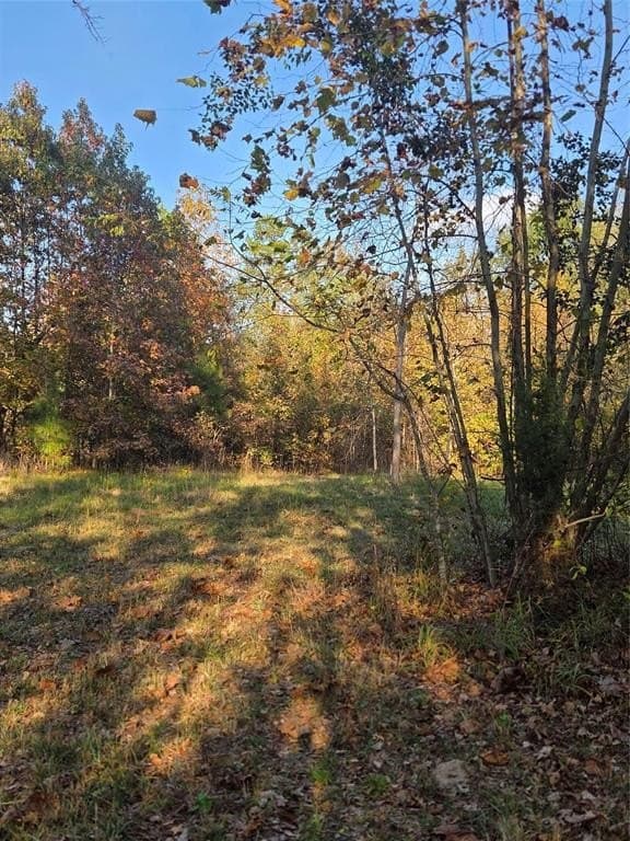 5.5 acres in Red River County - photo 4