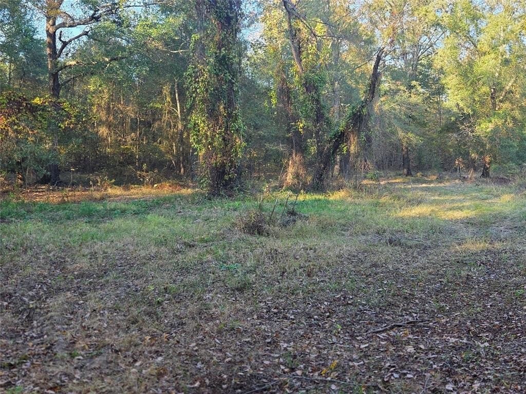 5.5 acres in Red River County - photo 14