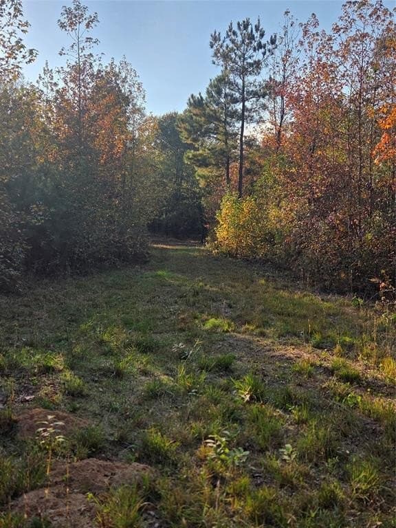 5.5 acres in Red River County - photo 8