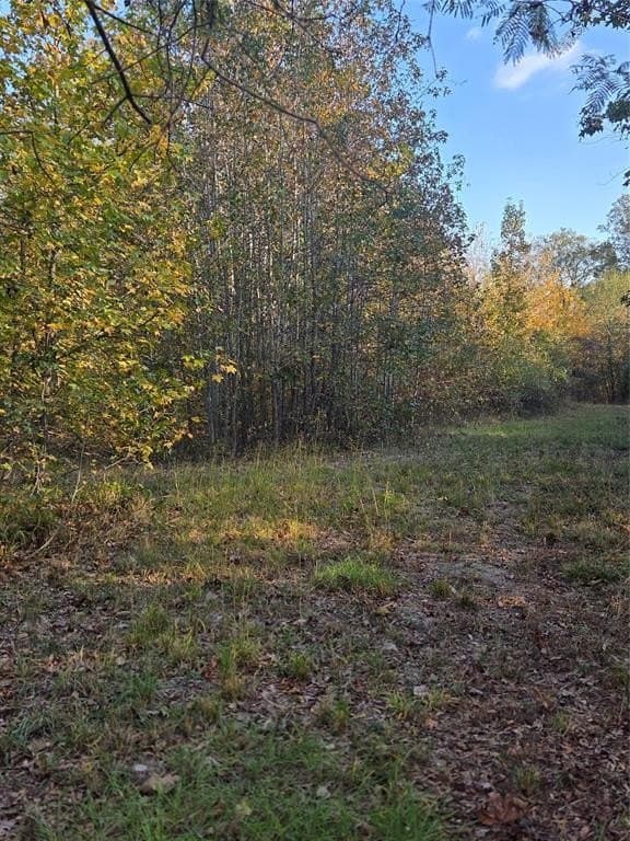 5.5 acres in Red River County - photo 5
