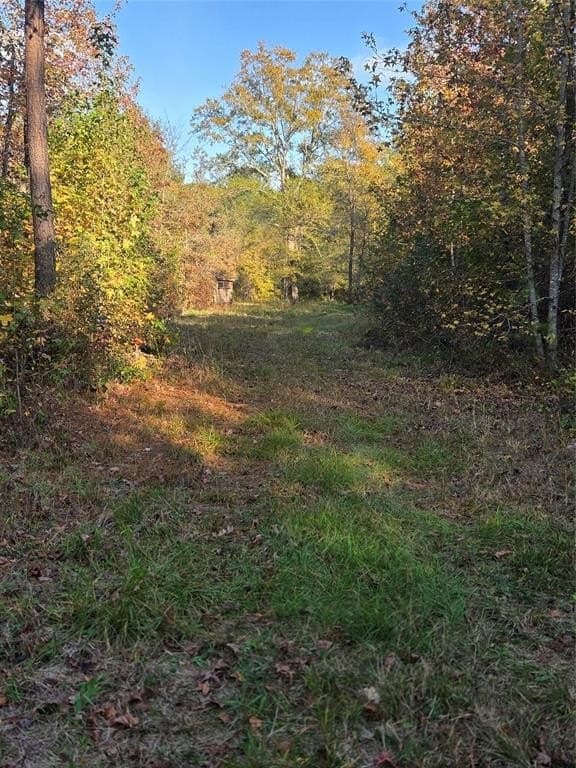 5.5 acres in Red River County - photo 9