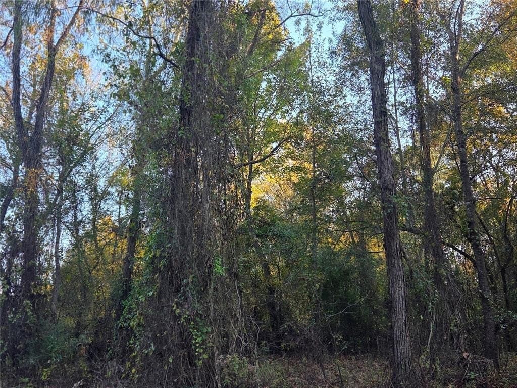 5.5 acres in Red River County - photo 10