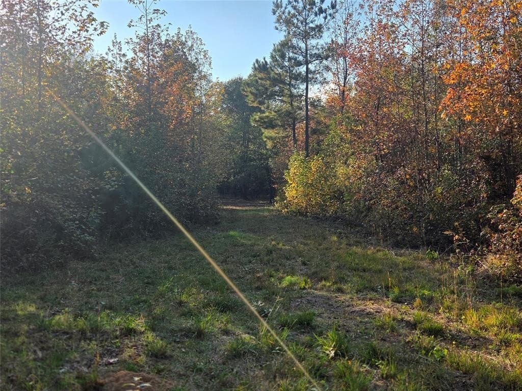 5.5 acres in Red River County - photo 7