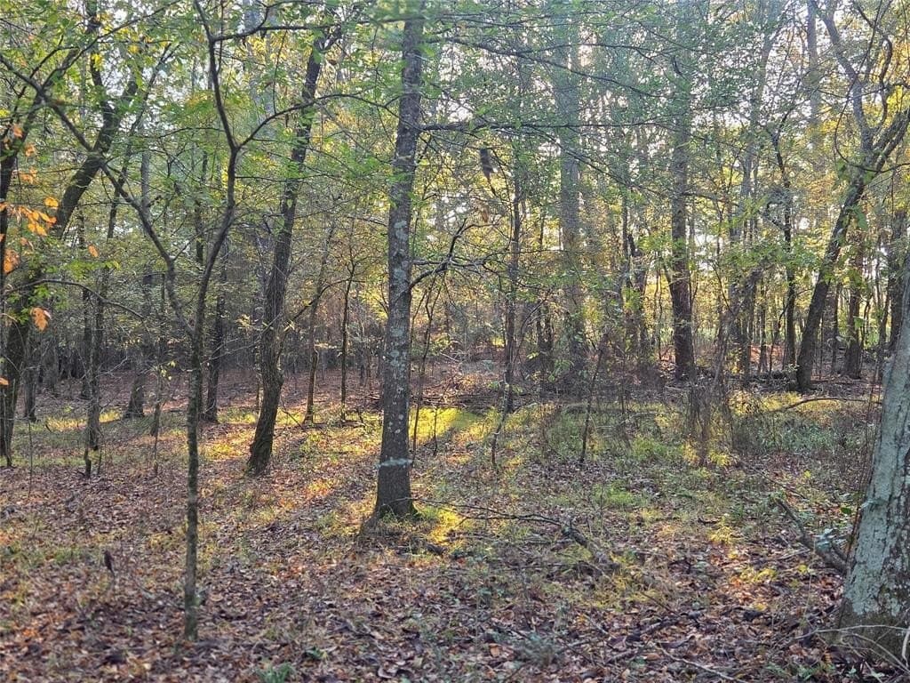 5.5 acres in Red River County - photo 16