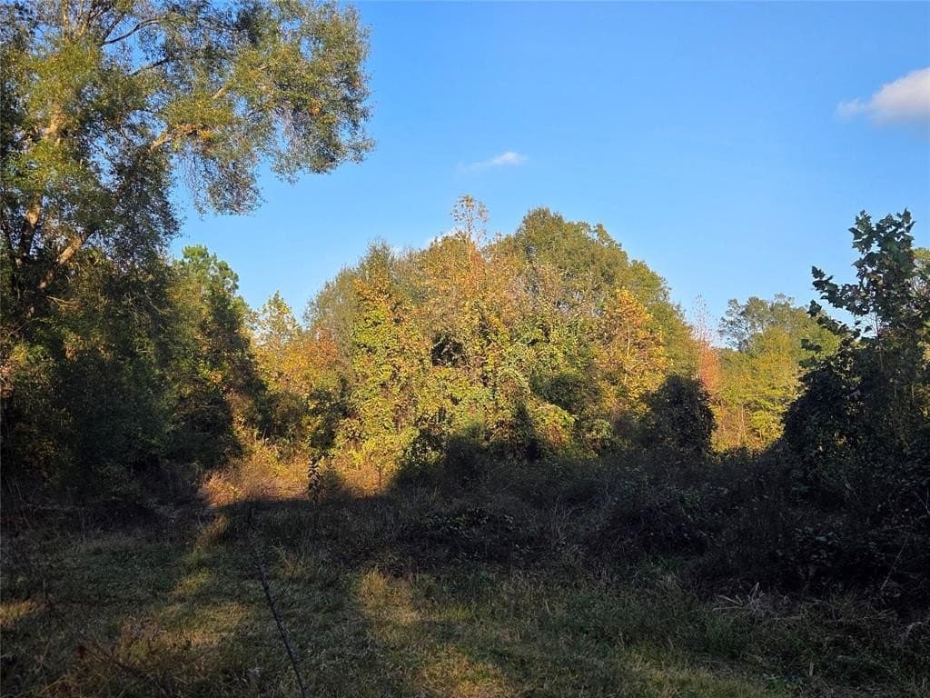 5.5 acres in Red River County - photo 12