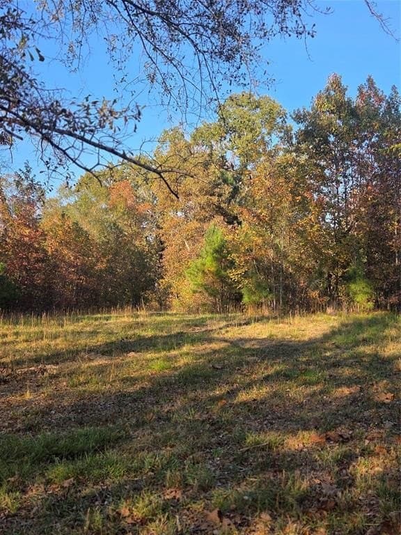 5.5 acres in Red River County - photo 3