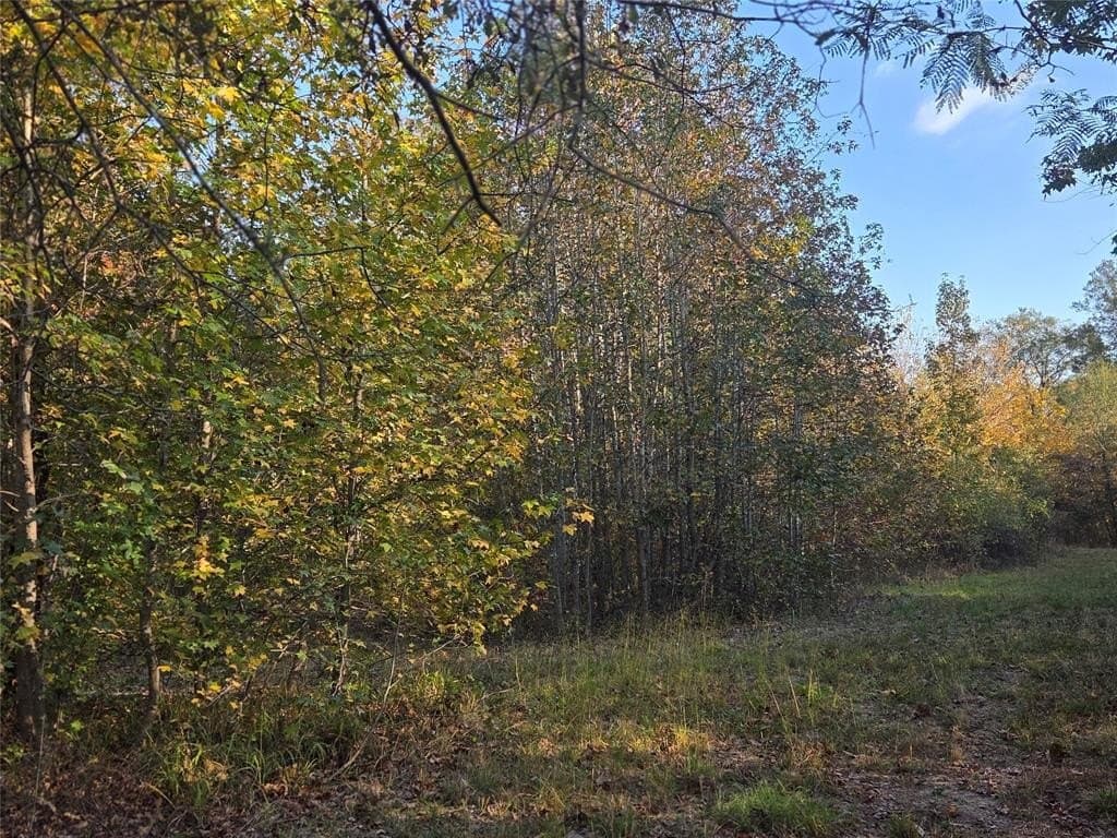 5.5 acres in Red River County - photo 6