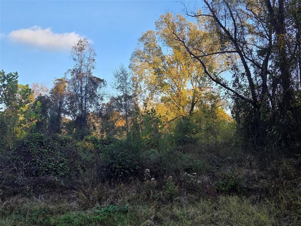 5.5 acres in Red River County - photo 11
