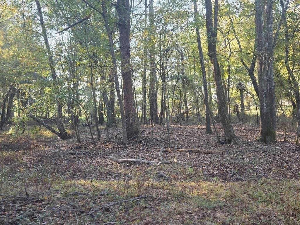 5.5 acres in Red River County - photo 15