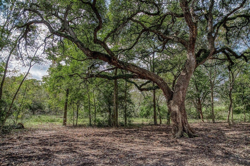 10 acres in Washington County - photo 20