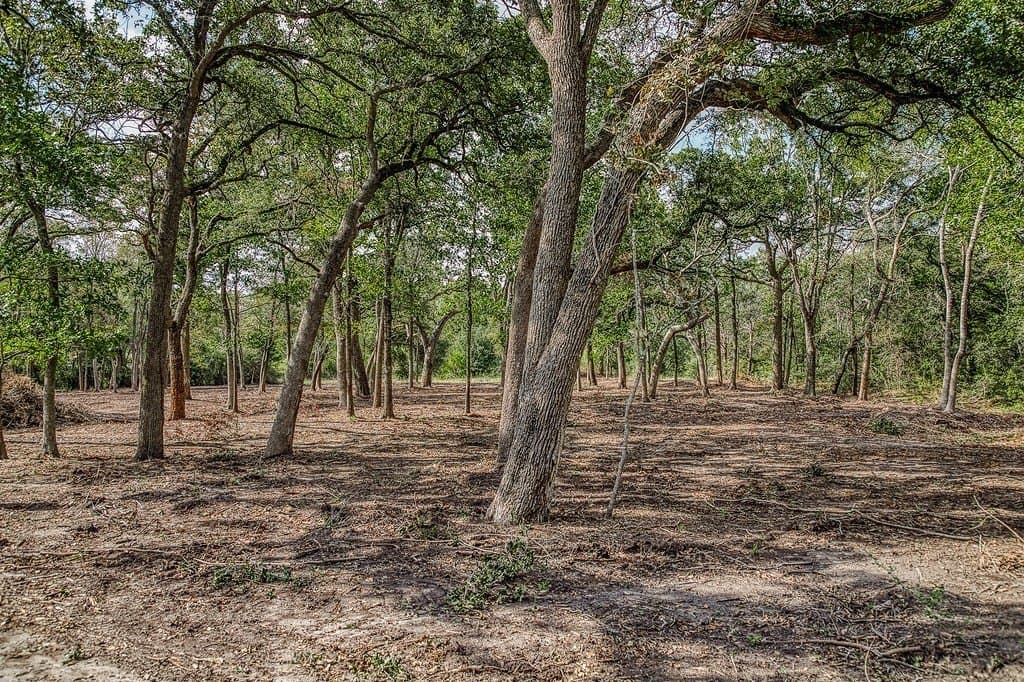 10 acres in Washington County - photo 21