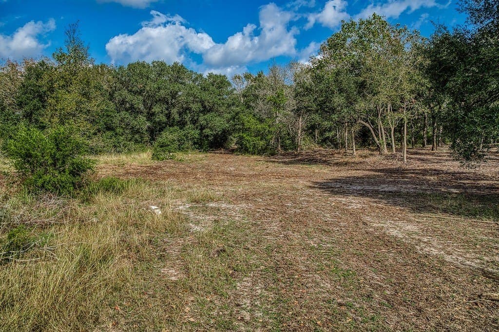 10 acres in Washington County - photo 15