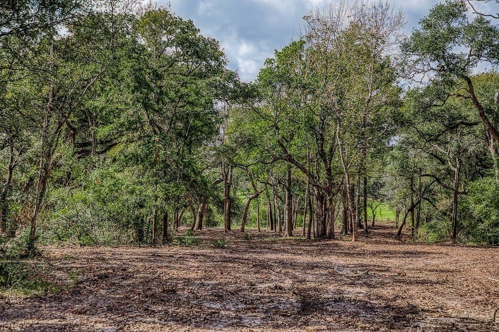 10 acres in Washington County - photo 24