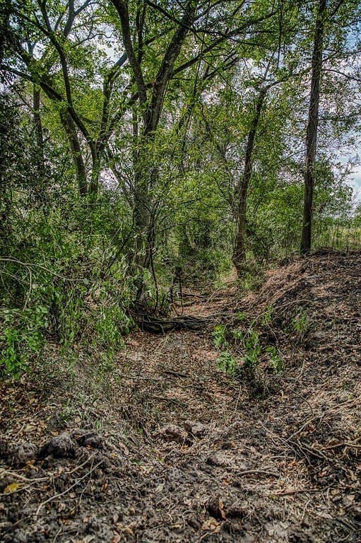 10 acres in Washington County - photo 13