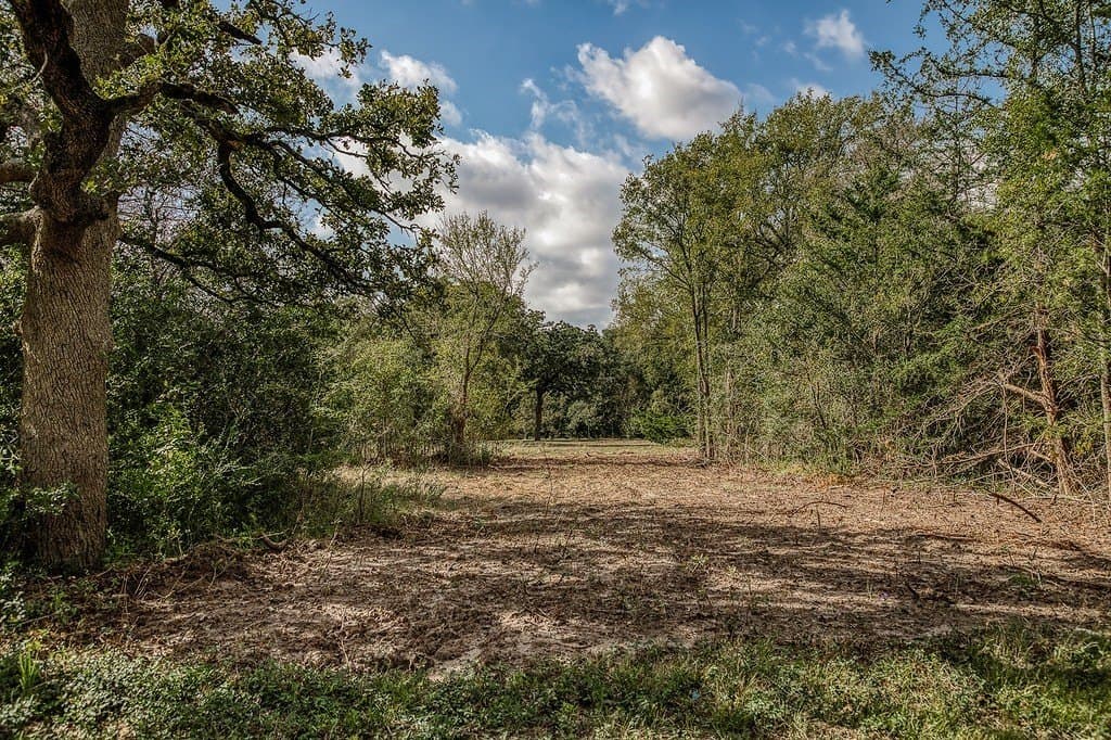 10 acres in Washington County - photo 7