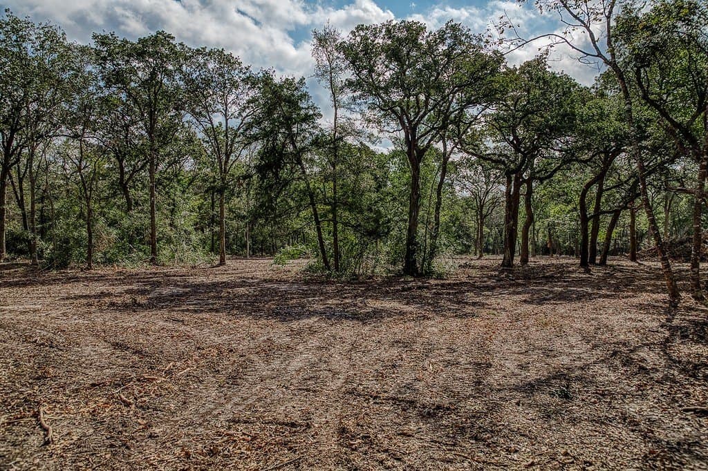 10 acres in Washington County - photo 8