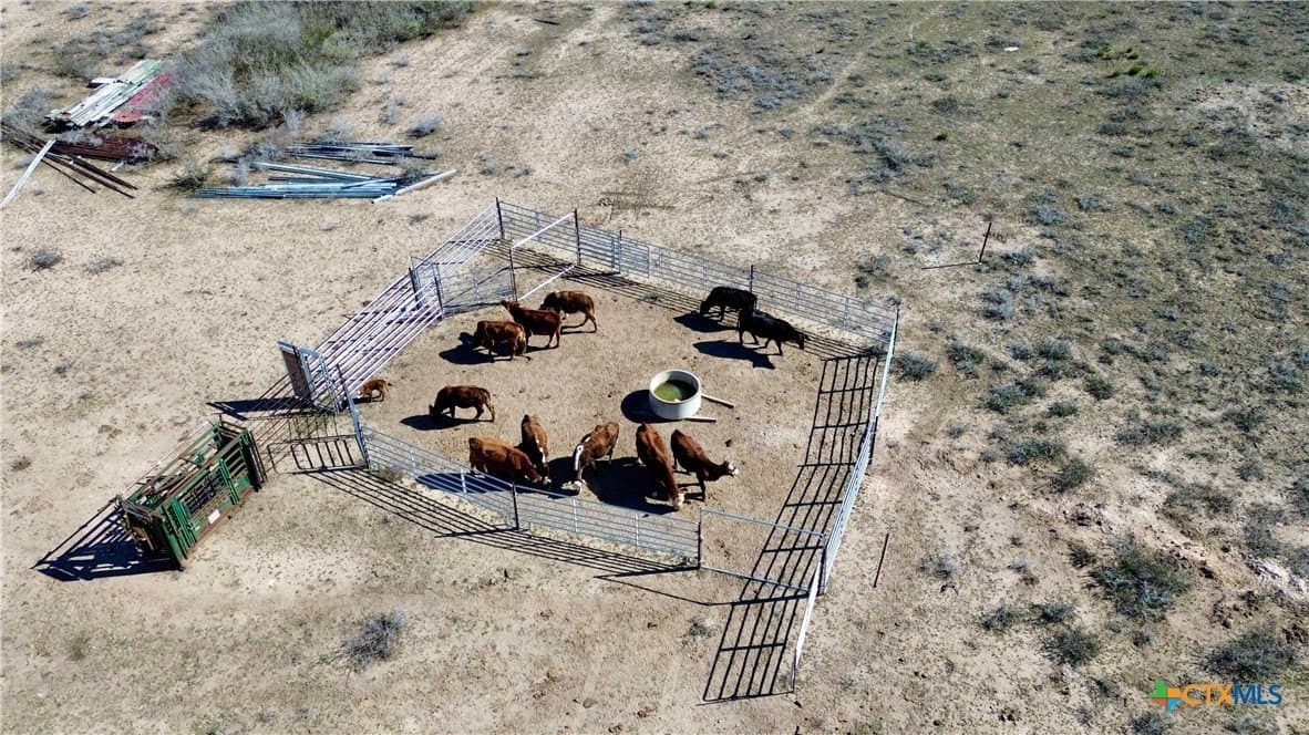 141.69 acres in Goliad County - photo 4