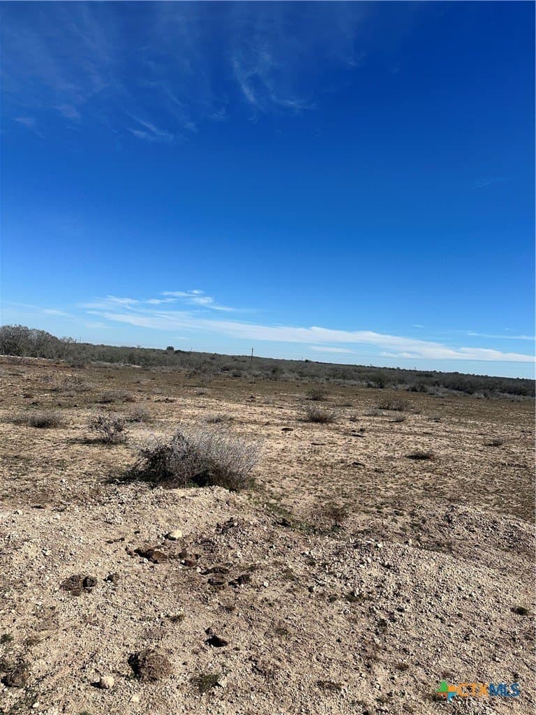 141.69 acres in Goliad County - photo 7