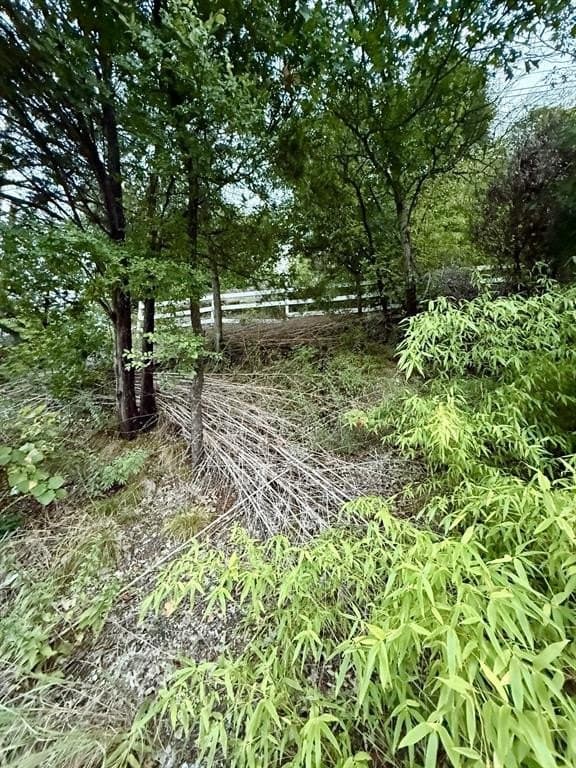 0.18 acres in Dallas County - photo 9