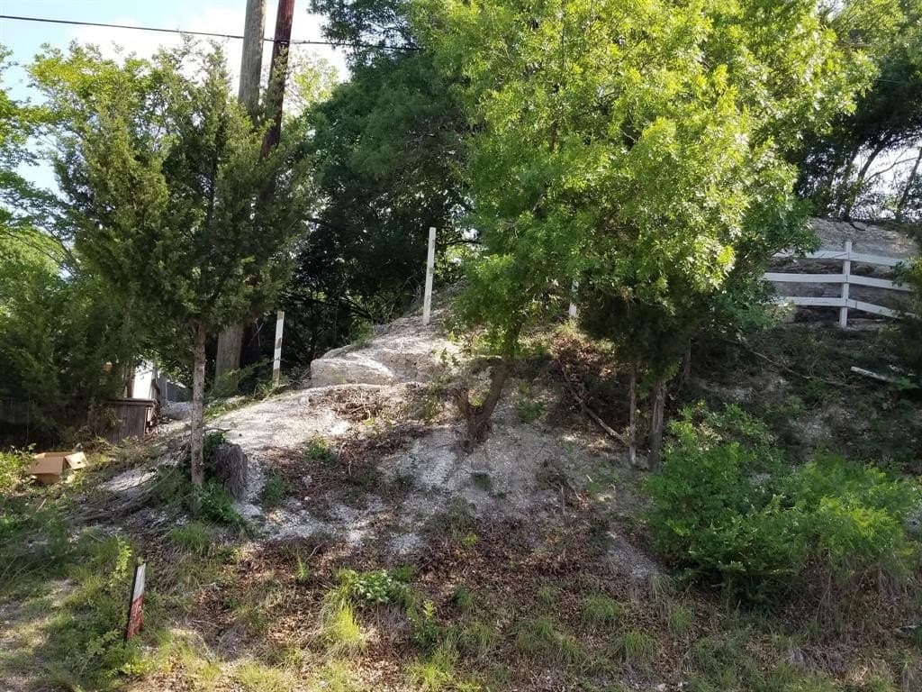 0.18 acres in Dallas County - photo 3