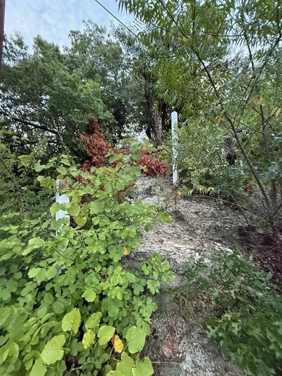 0.18 acres in Dallas County - photo 7