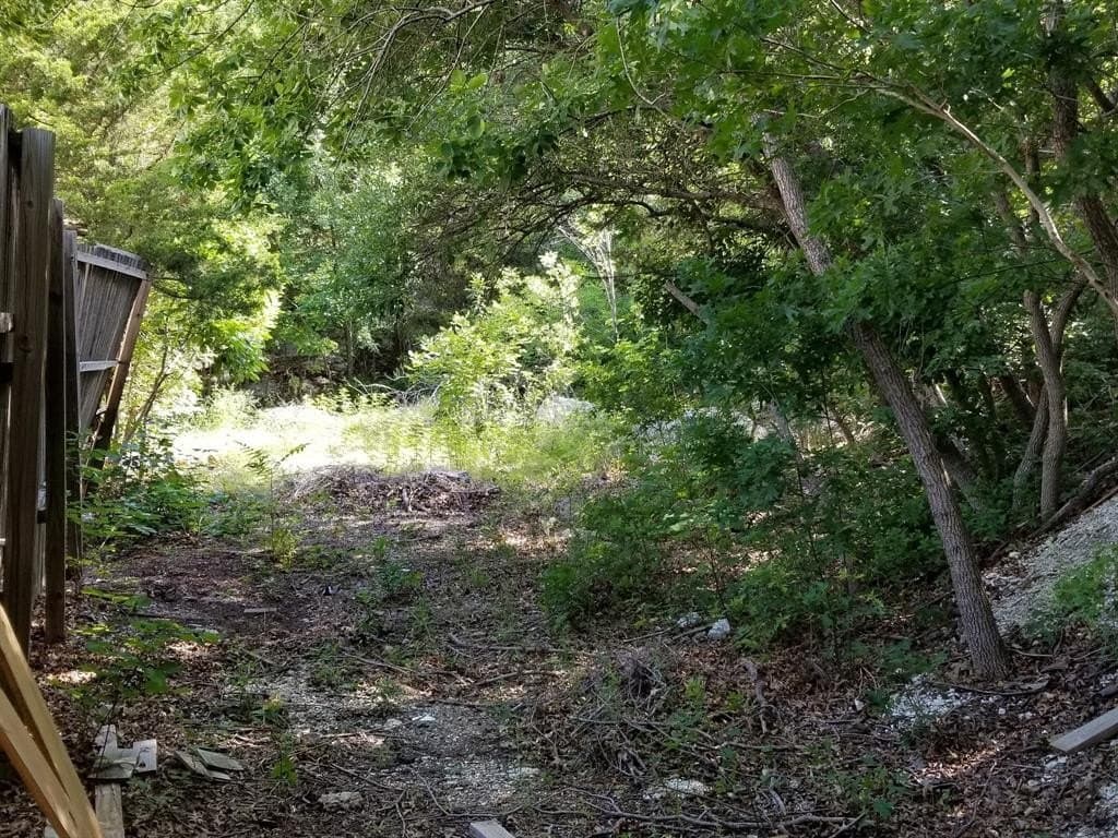 0.18 acres in Dallas County - photo 2