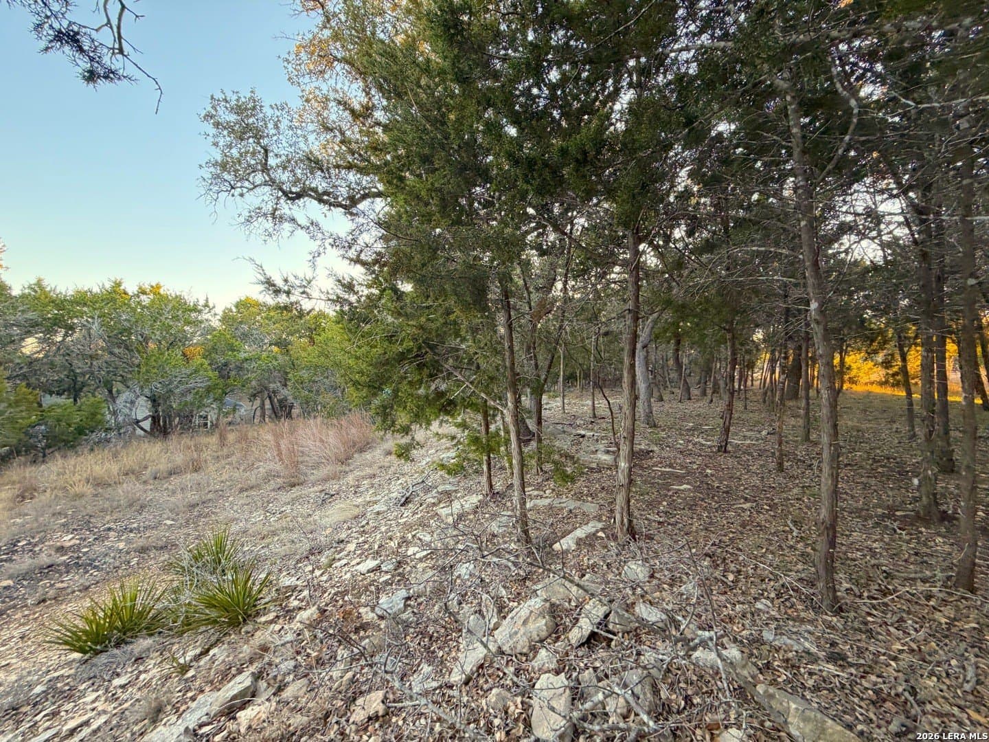 0.5 acres in Comal County - photo 4