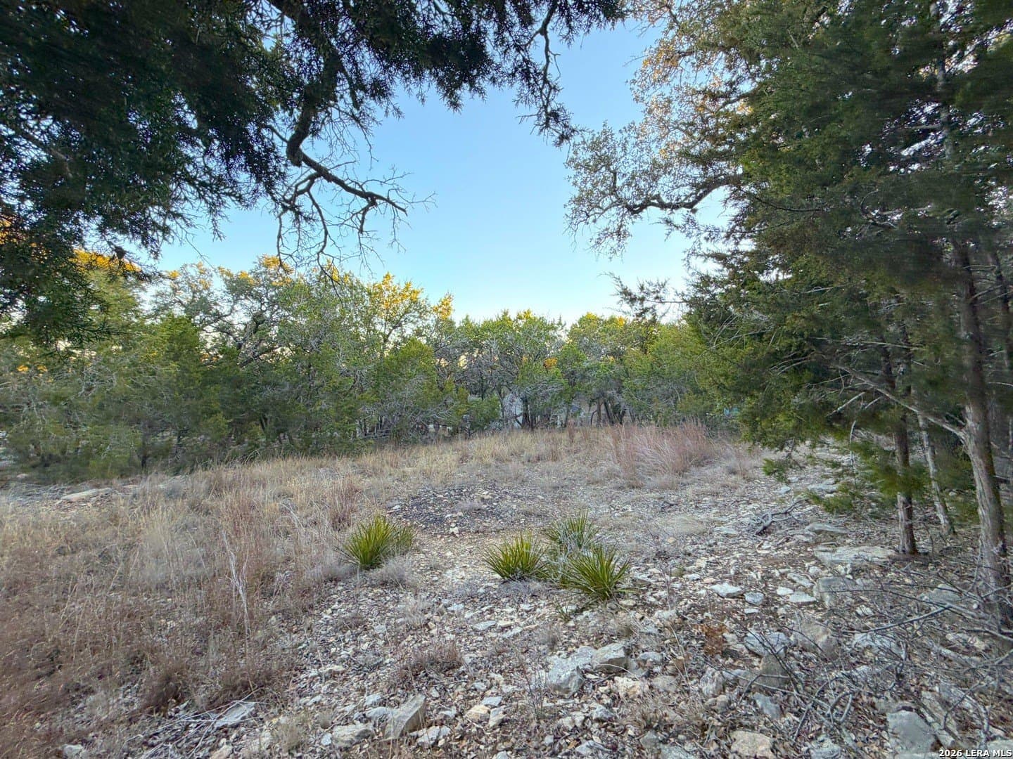 0.5 acres in Comal County - photo 2