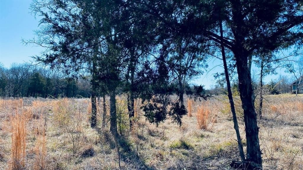 2.91 acres in Navarro County - photo 4