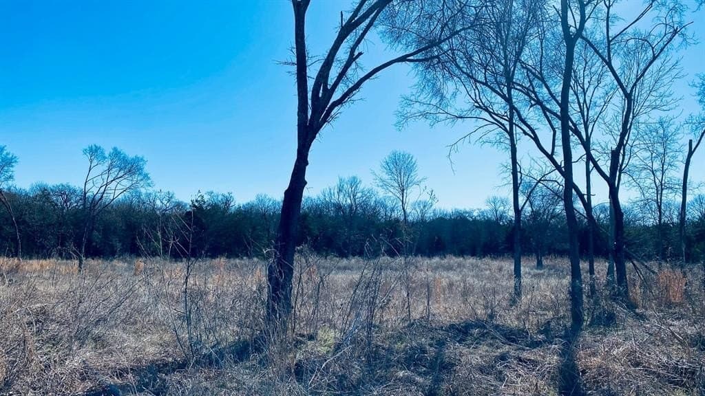 2.91 acres in Navarro County - photo 2