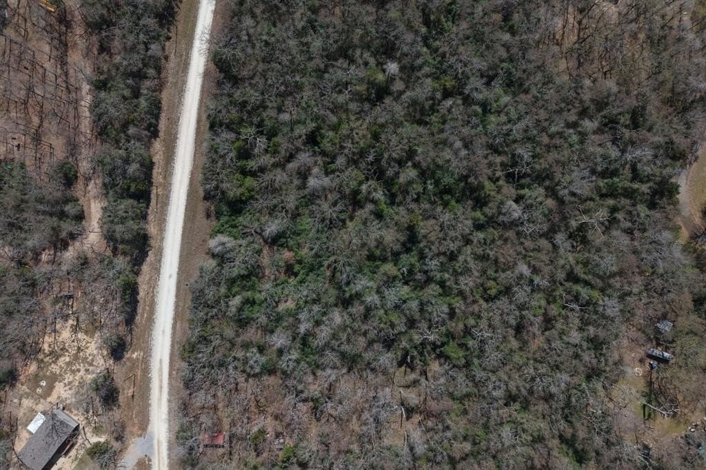 0.52 acres in Limestone County - photo 3