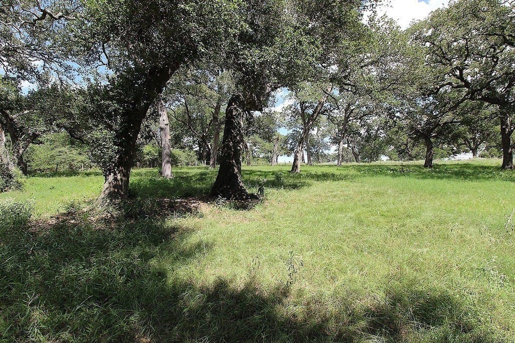 1801 FM 1383