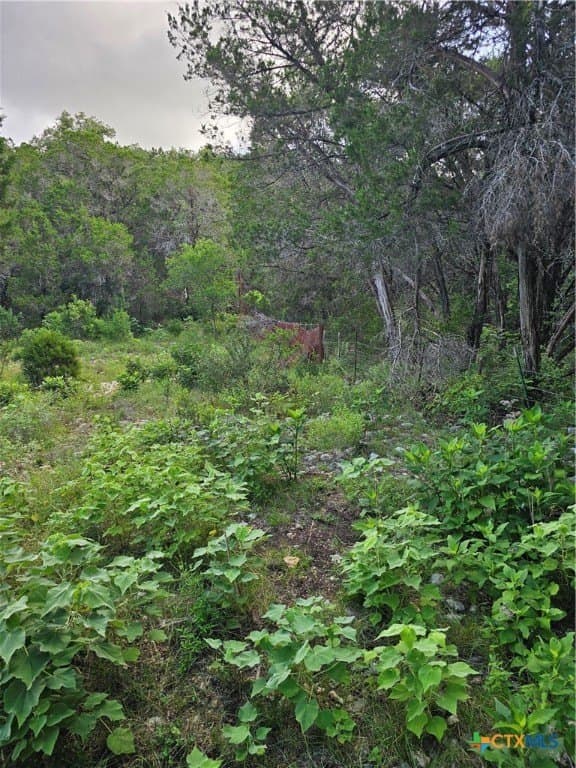 20 acres in Comal County - photo 4