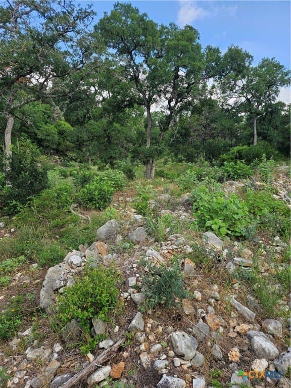 20 acres in Comal County - photo 7