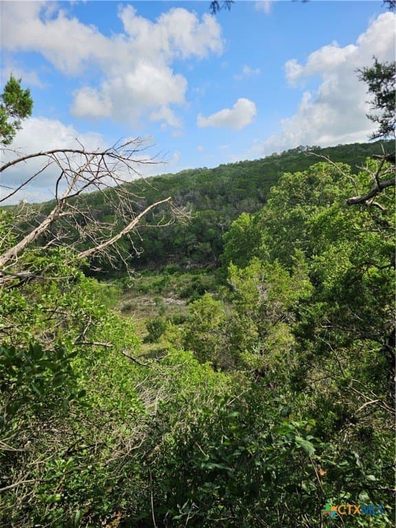 20 acres in Comal County - photo 5
