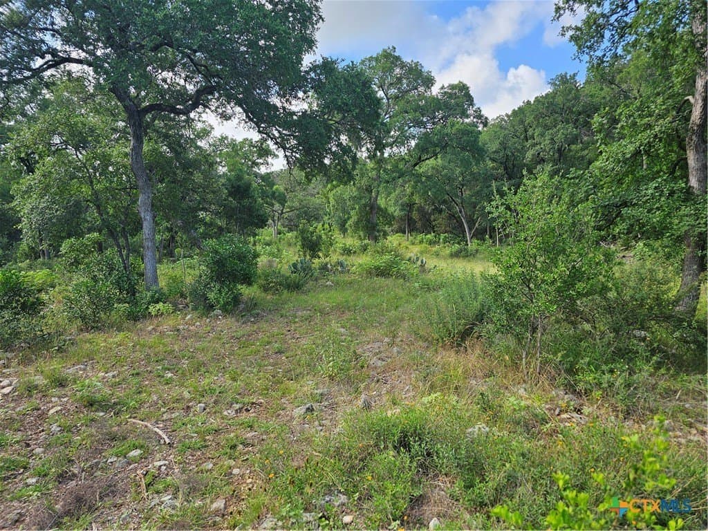 20 acres in Comal County - photo 6
