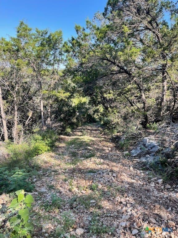 20 acres in Comal County - photo 13