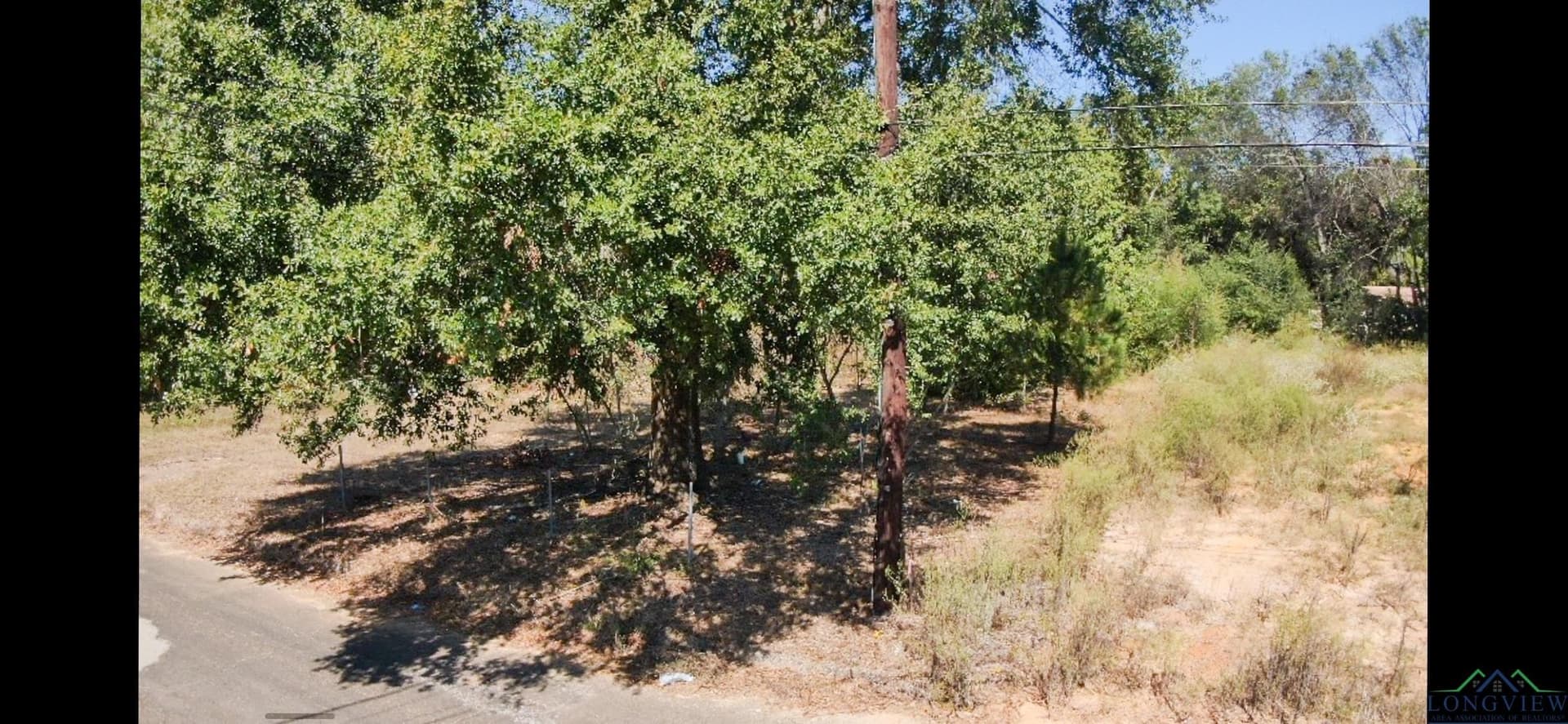 0.26 acres in Texas County - photo 3