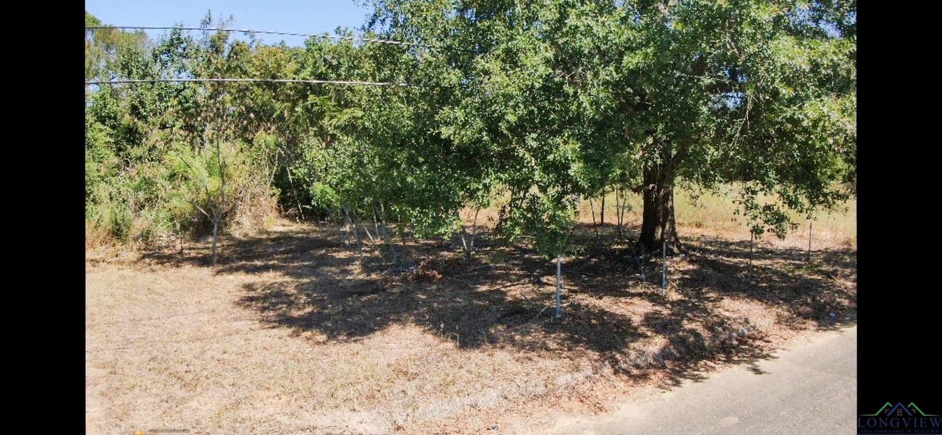 0.26 acres in Texas County - photo 4