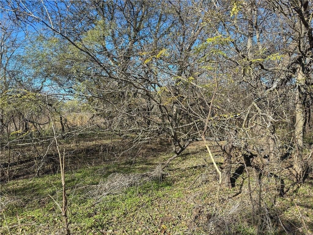 20 acres in McLennan County - photo 47