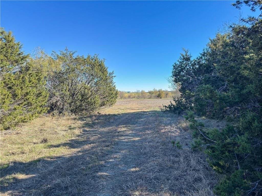 20 acres in McLennan County - photo 40