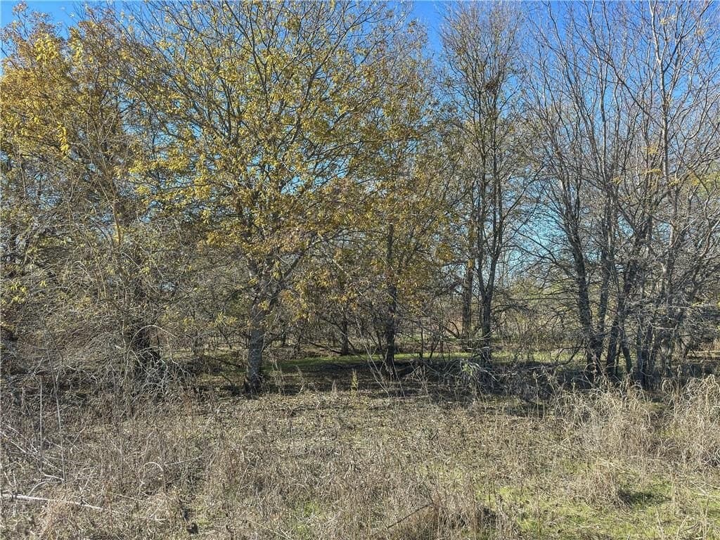 20 acres in McLennan County - photo 45