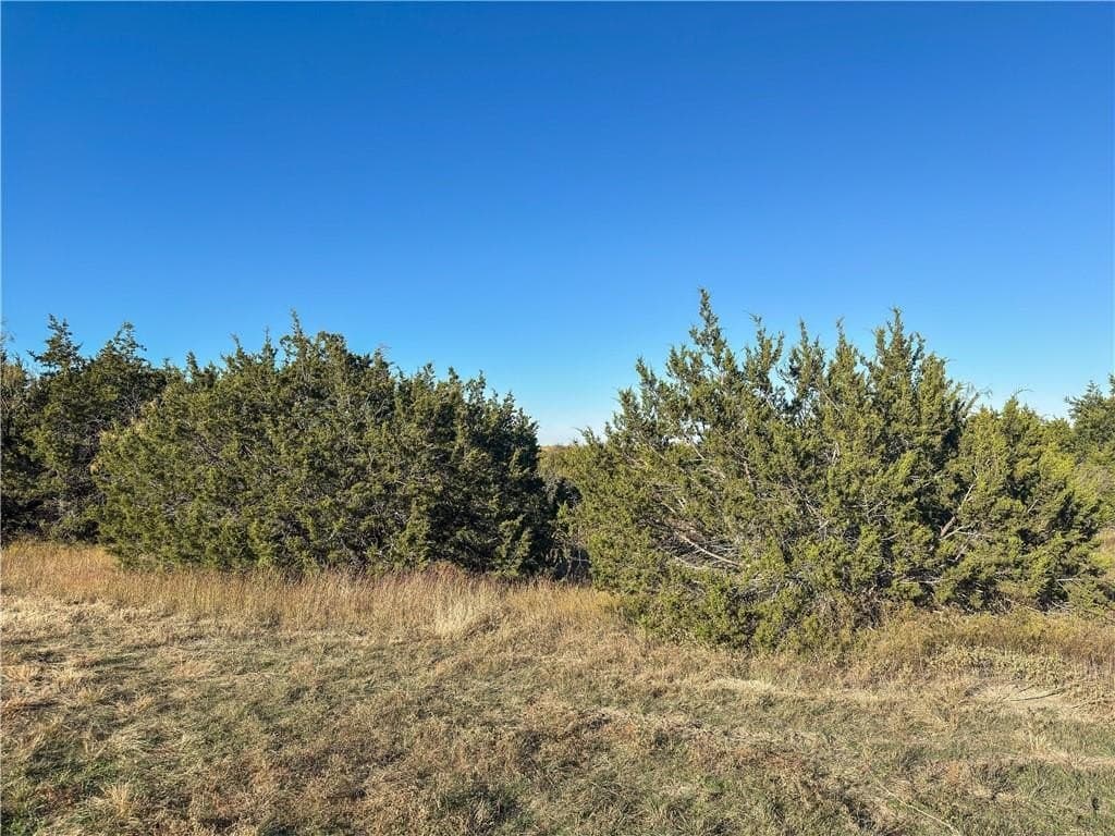 20 acres in McLennan County - photo 25
