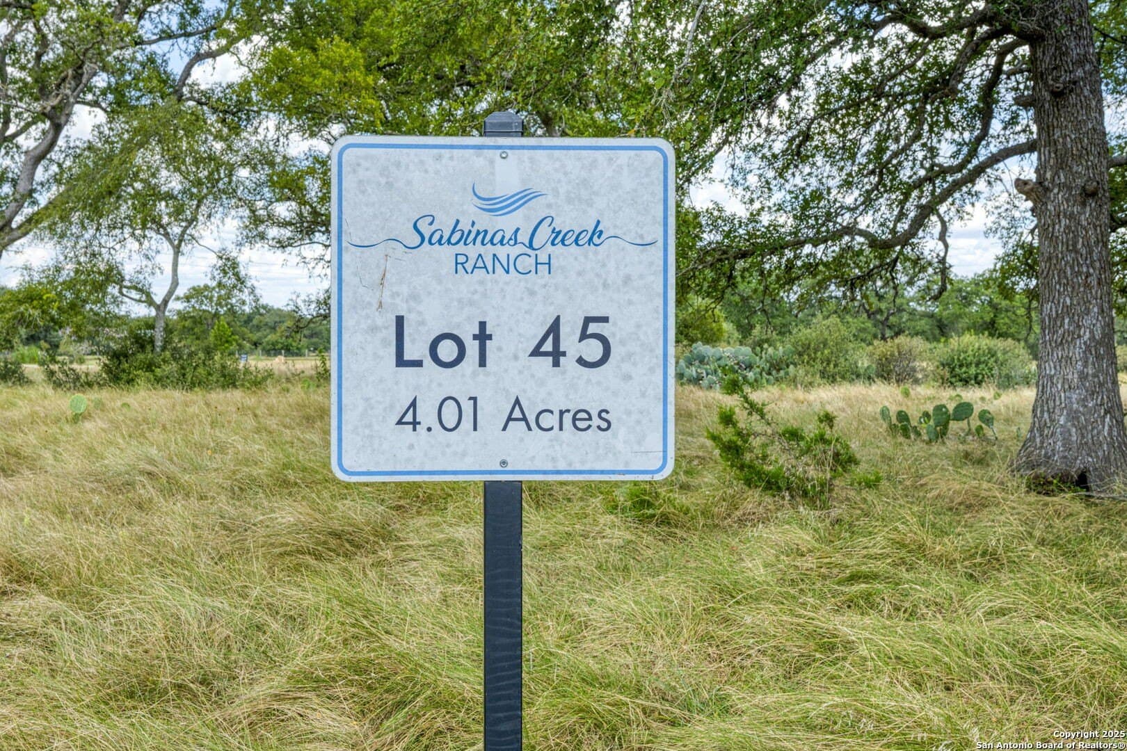 4.01 acres in Kendall County - photo 2