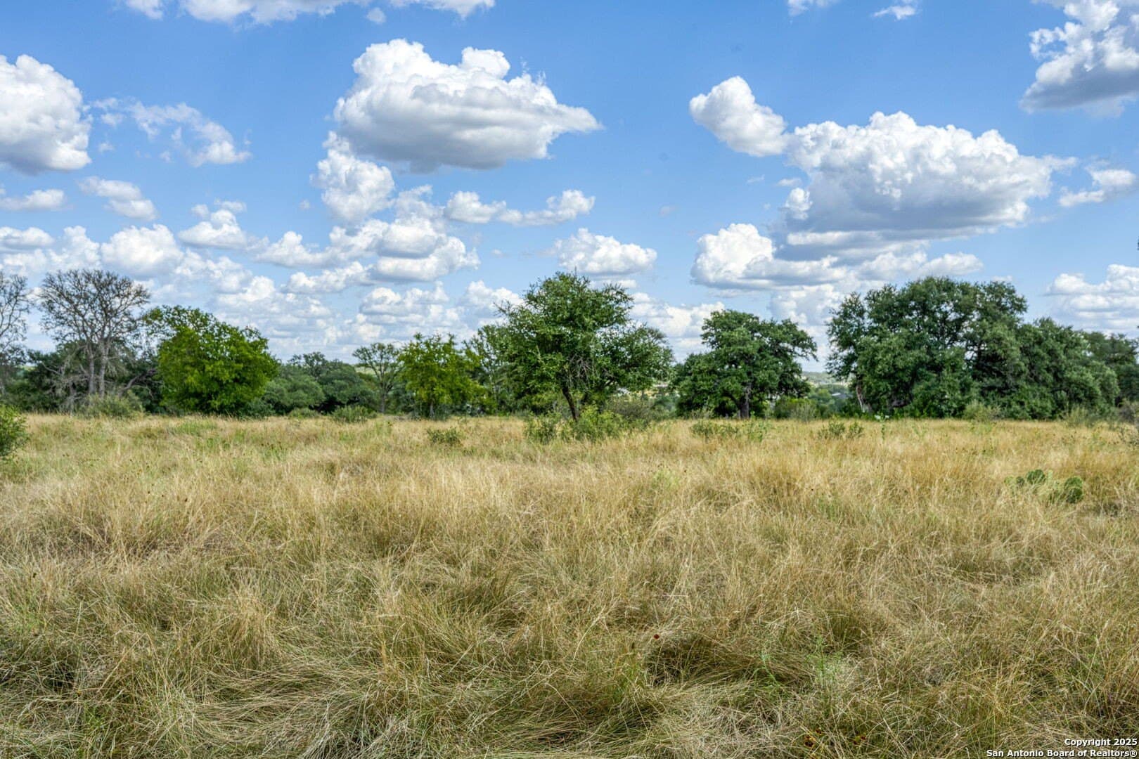 4.01 acres in Kendall County - photo 60