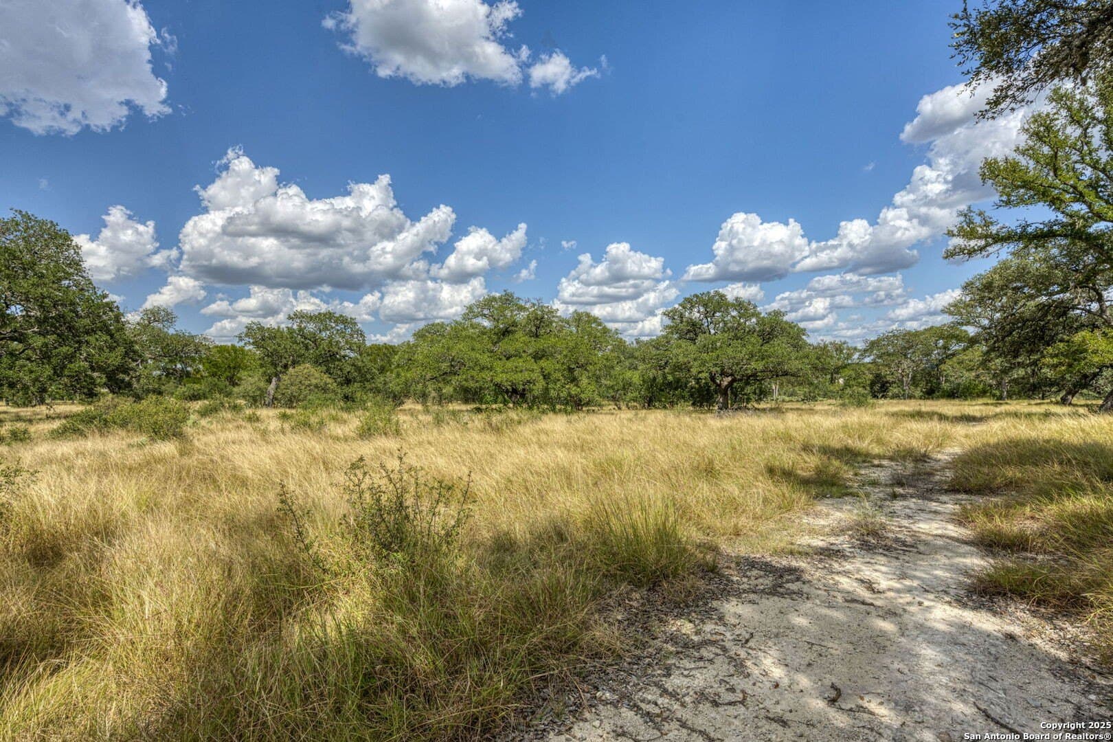 4.01 acres in Kendall County - photo 50